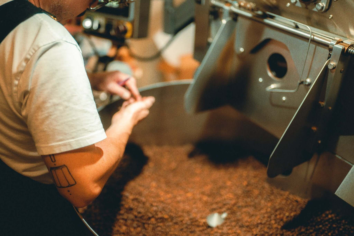Specialty Coffee Cycle Roasters Lübeck Kaffeerösterei - Röstphilosofie
