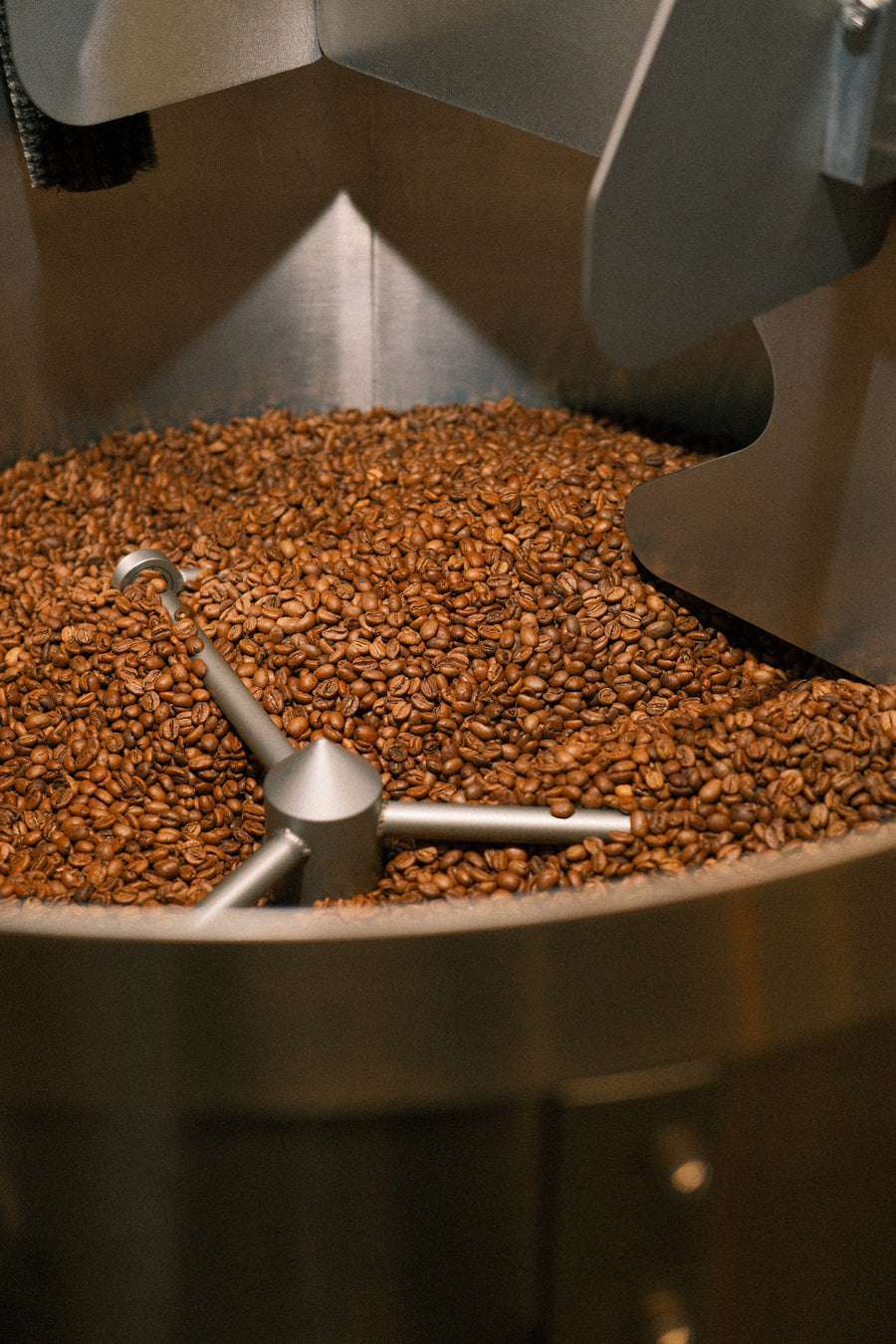 Kaffeebohnen im Kühlsieb nach der Röstung bei Cycle Roasters in Lübeck – Röstgrad und Säure im Kaffee
