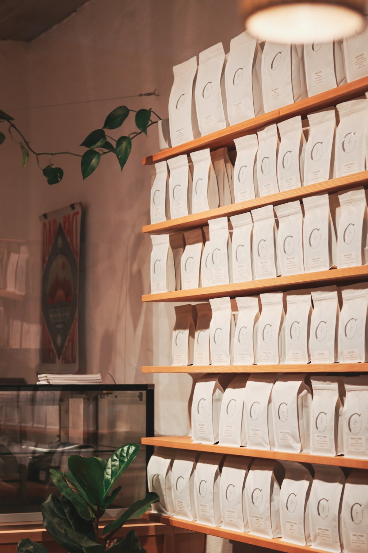 Café und Shop von Cycle Roasters in der Fleischhauerstraße 44, Lübeck