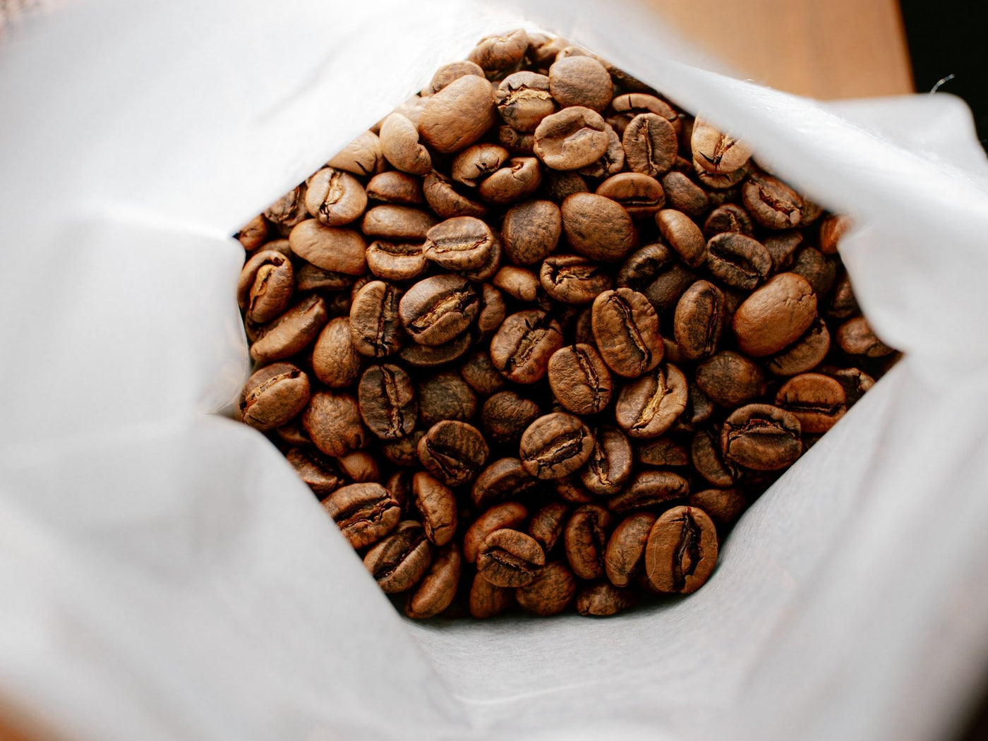 Cycle Roasters – Specialty Coffee Rösterei aus Lübeck