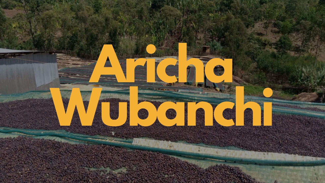 Aricha Wubunchi Farm