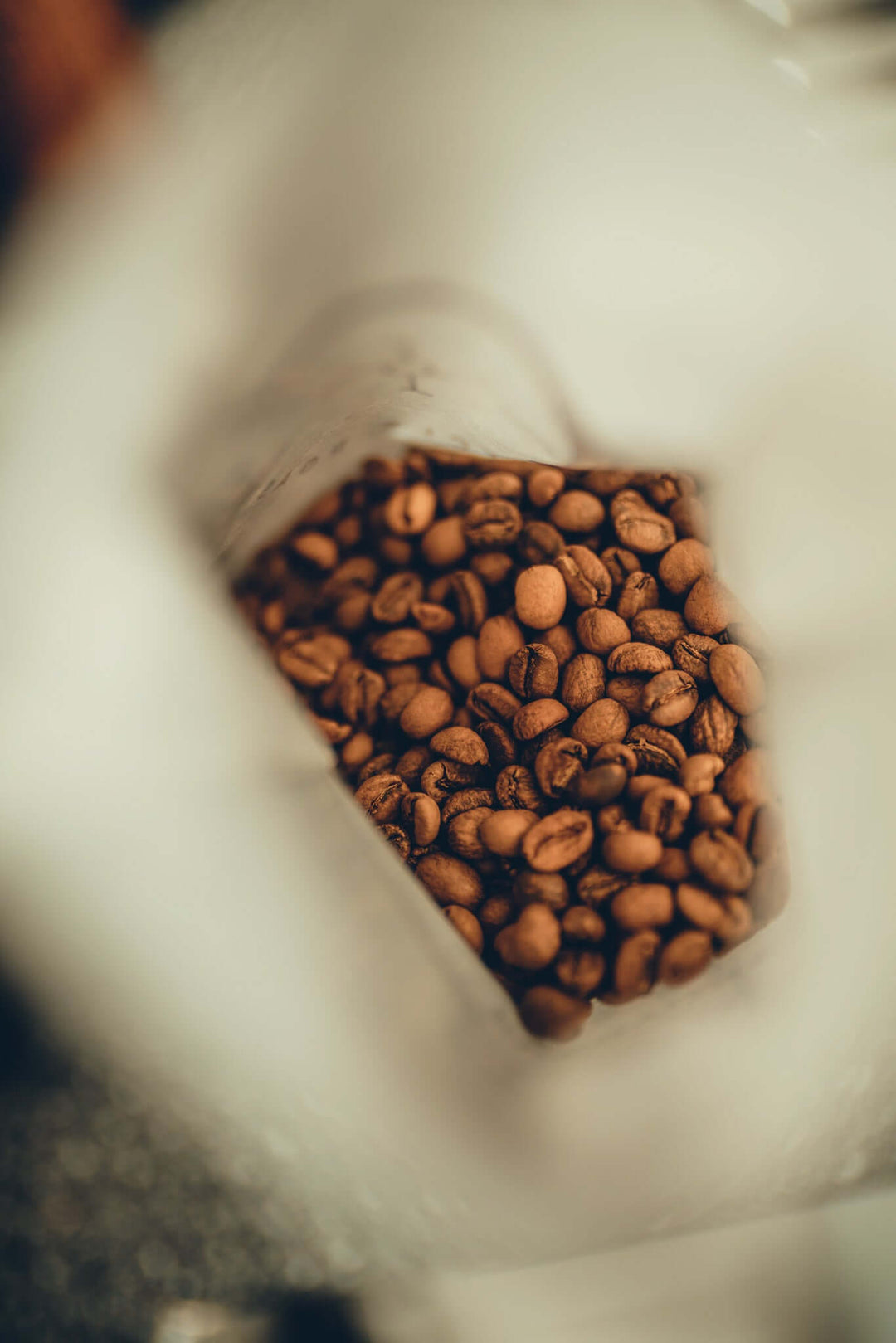 Frisch geröstete Kaffeebohnen von Cycle Roasters – bald im Regal: Ombligon aus Kolumbien