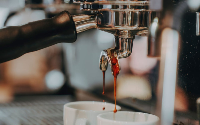 Barista-Kurse bei Cycle Roasters: Teilnehmer an der Siebträgermaschine in Lübeck