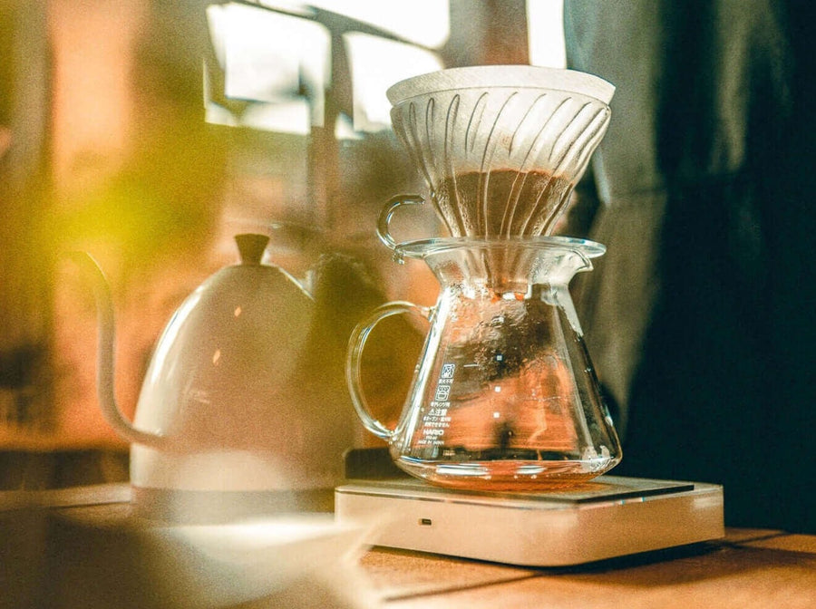 Filterkaffee-Zubereitung im Einsteigerkurs der Kaffeeschule von Cycle Roasters in Lübeck
