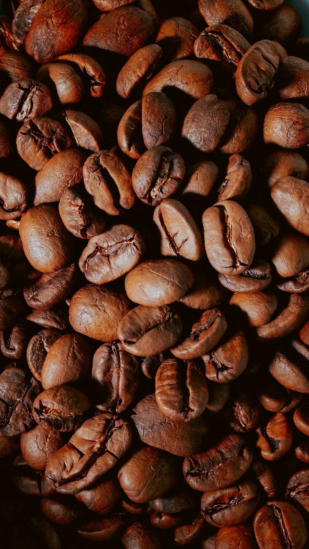 Kaffee Bohnen Cycle Roasters 